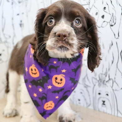 Birdie *PRE-TRAINED* - Available 11/23