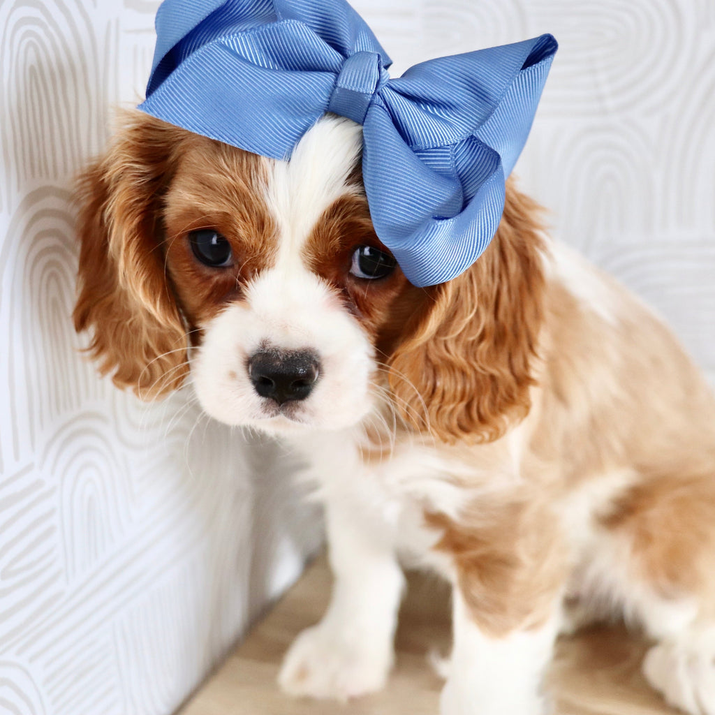 Madonna - Available Now