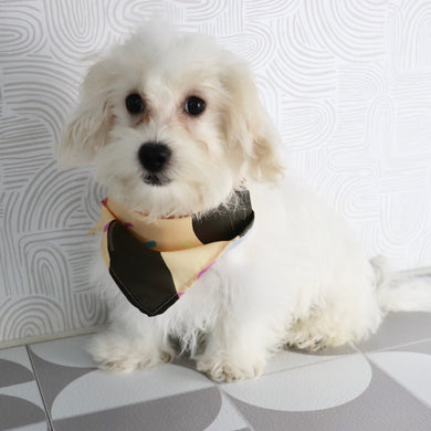 Emmitt - Available Now