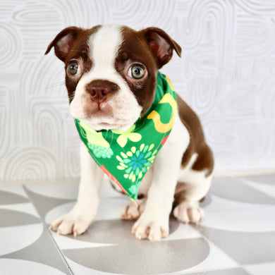 Millie - Available Now