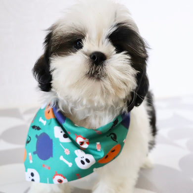 Edwin - Available Now