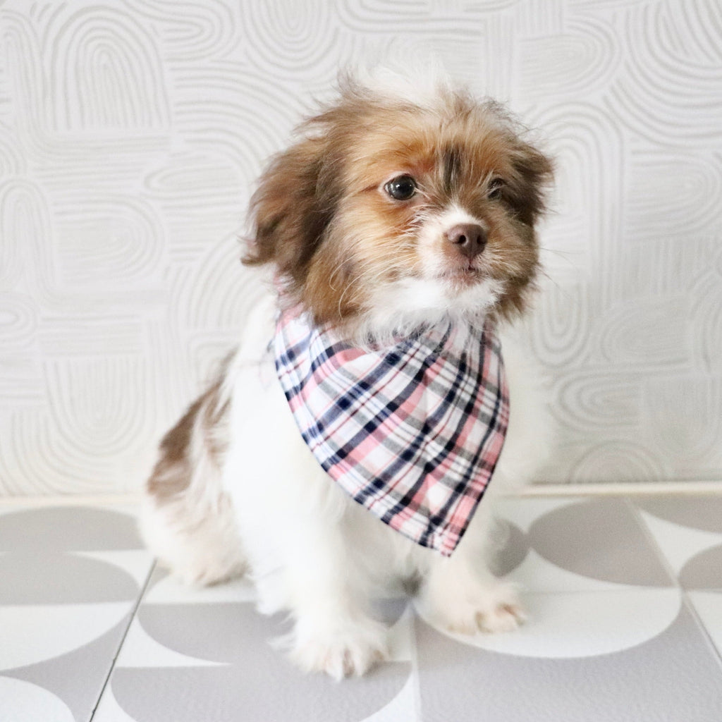 Moe - Available Now