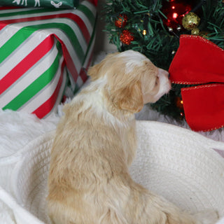 Jim - Available 1/21