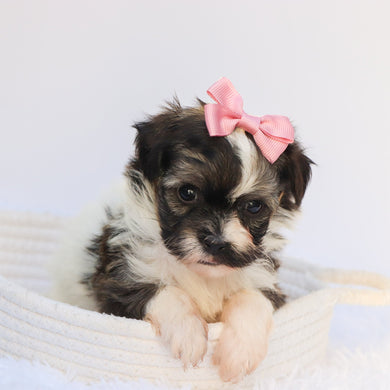 Kate - Available 7/30