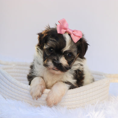 Kate - Available 7/30
