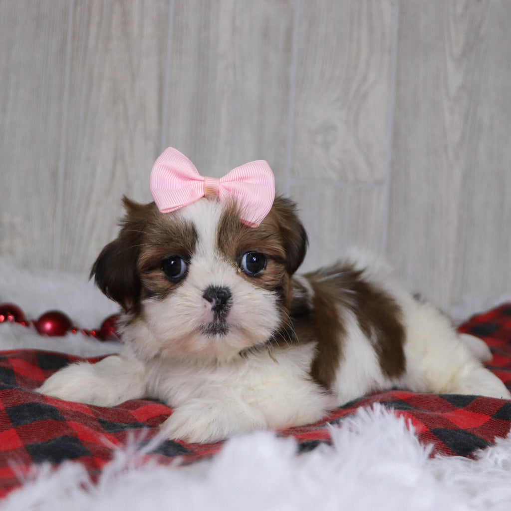 Leigh - Available 12/17