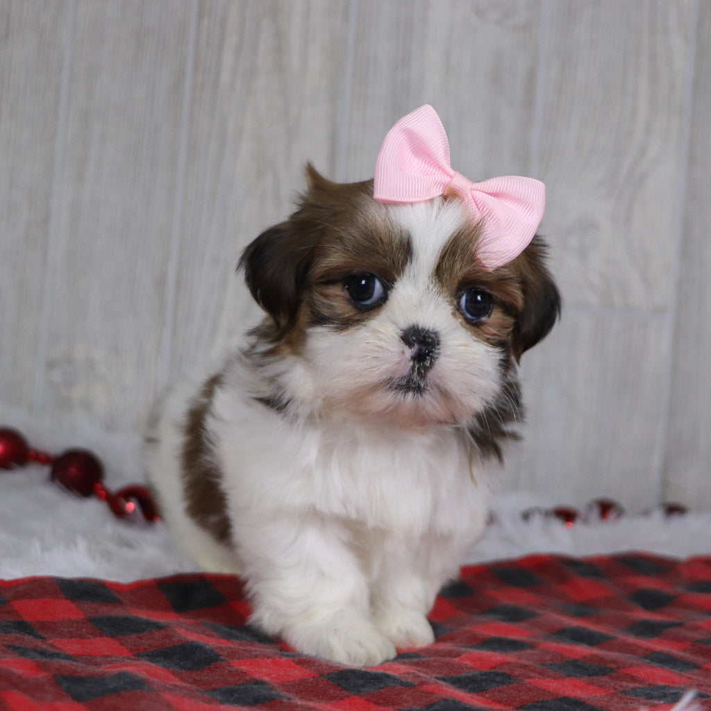 Leigh - Available 12/17