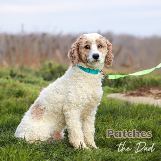 Quaker - Available 1/14