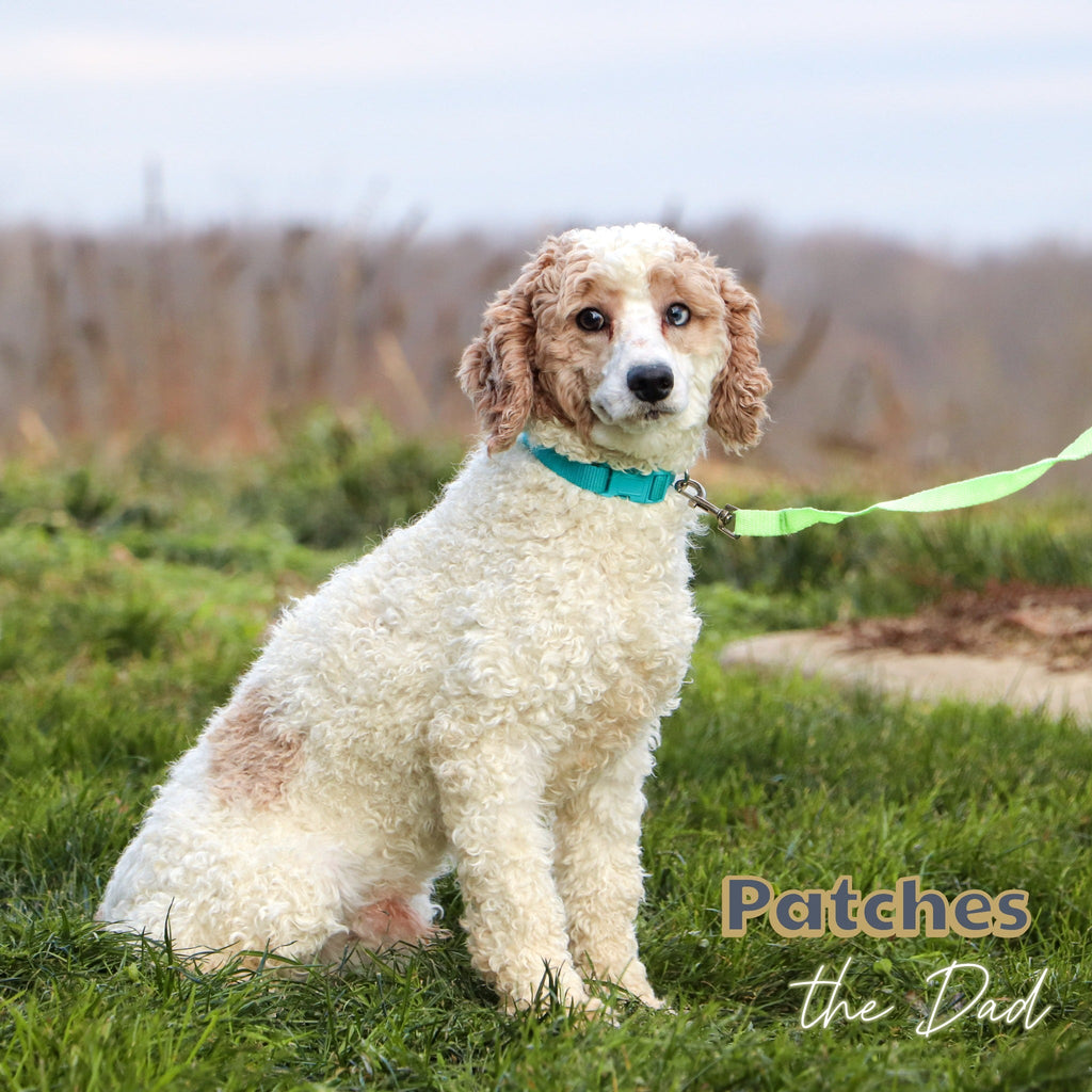 Sanford - Available 1/14