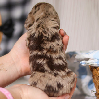 Jude - Available 4/9