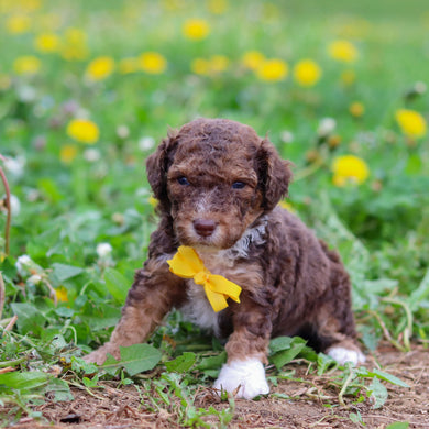 Reign - Available 5/21