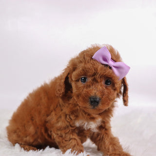 Marsha - Available 10/9