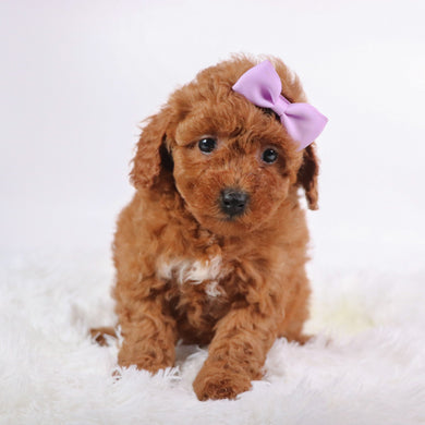Marsha - Available 10/9