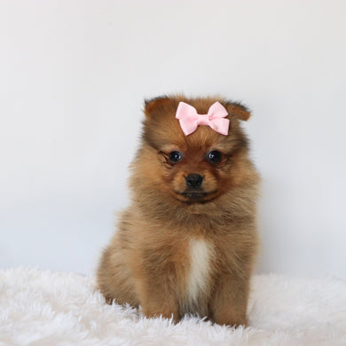 Matilda - Available now