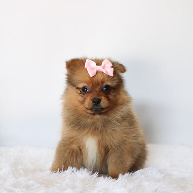 Matilda - Available now