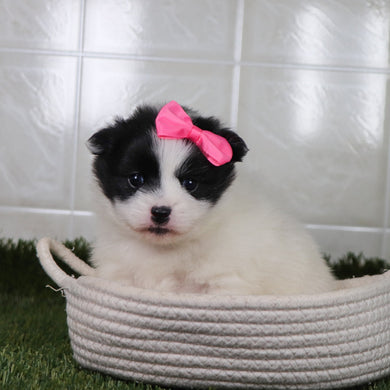 Missy - Available 5/21