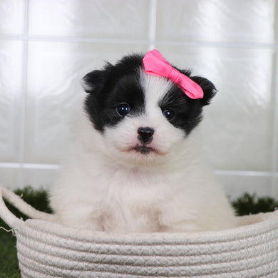 Missy - Available 5/21