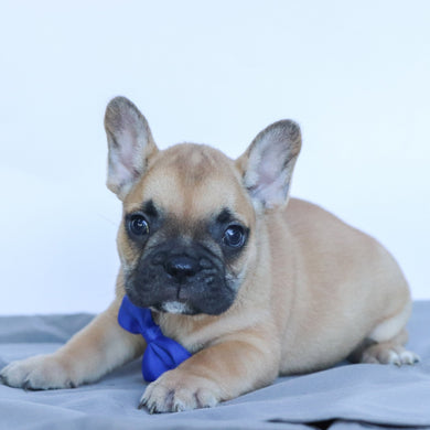 Rowen - Available 10/17
