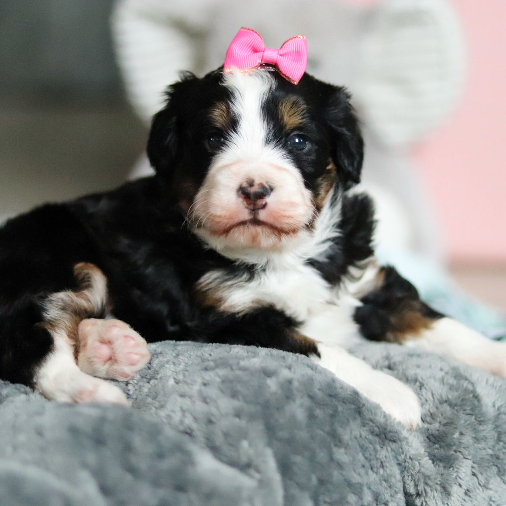 Wendy - Available 4/30