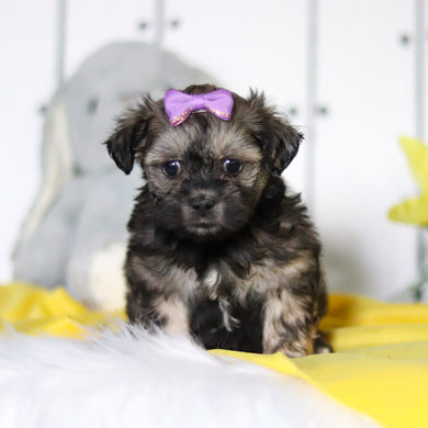Ruby - Available Now
