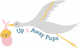 Up And Away Pups