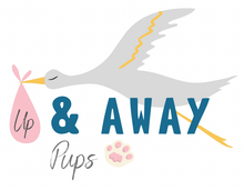 Up And Away Pups